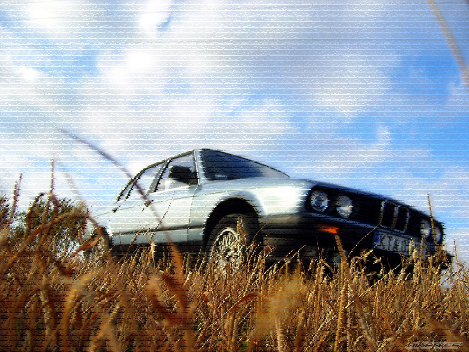 Photo 2295787