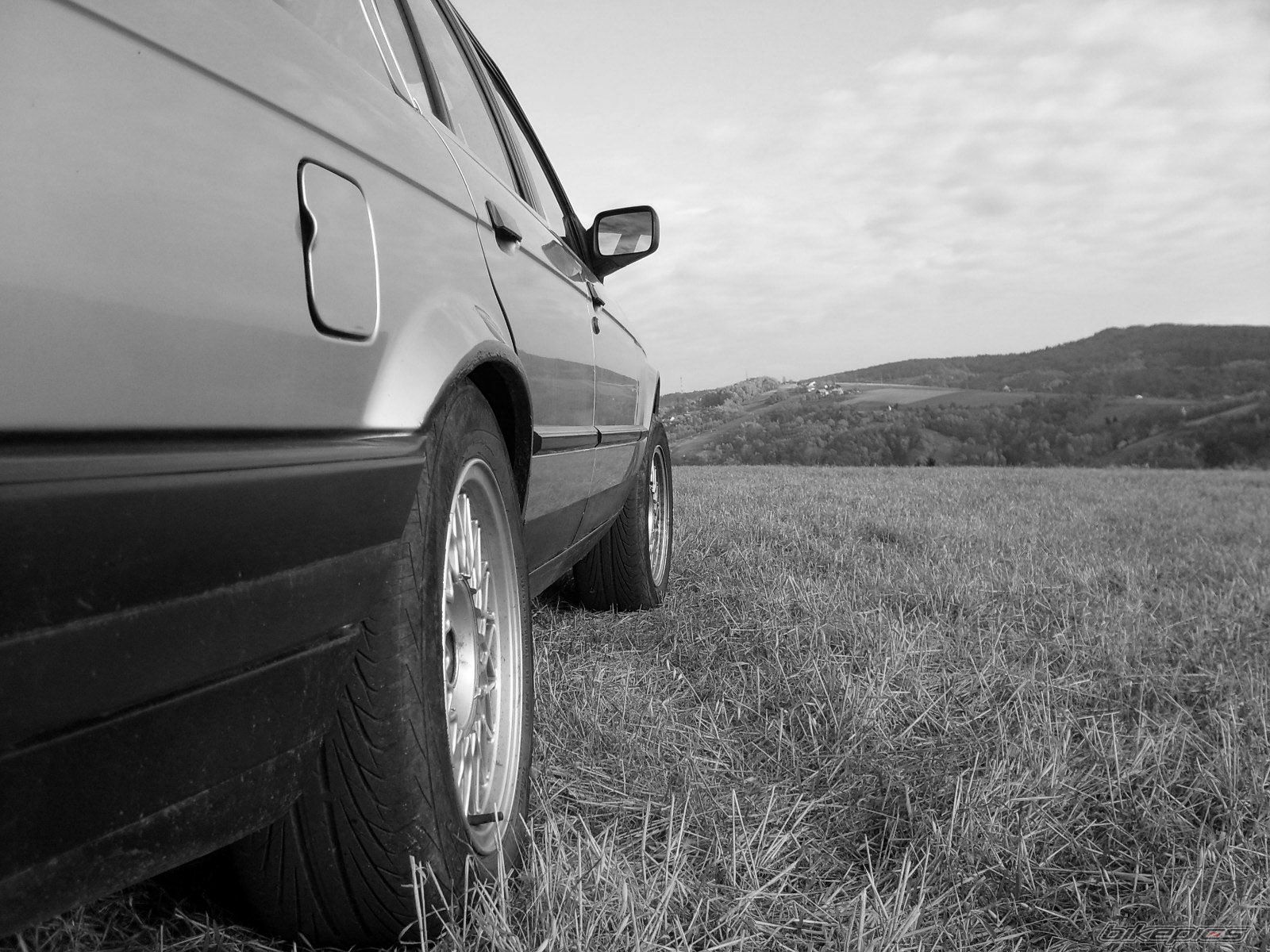 Photo 2295788