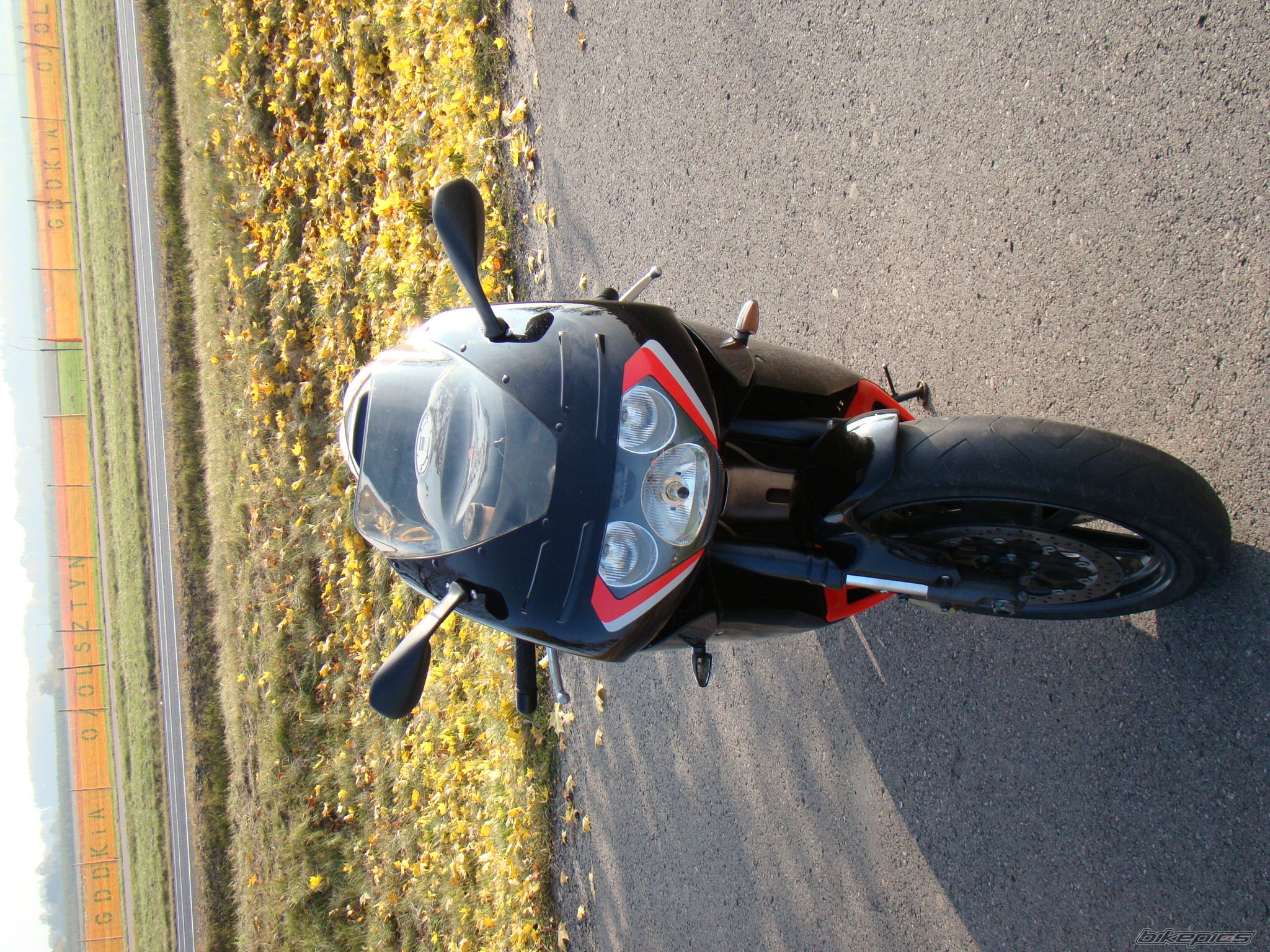 Photo 2295817