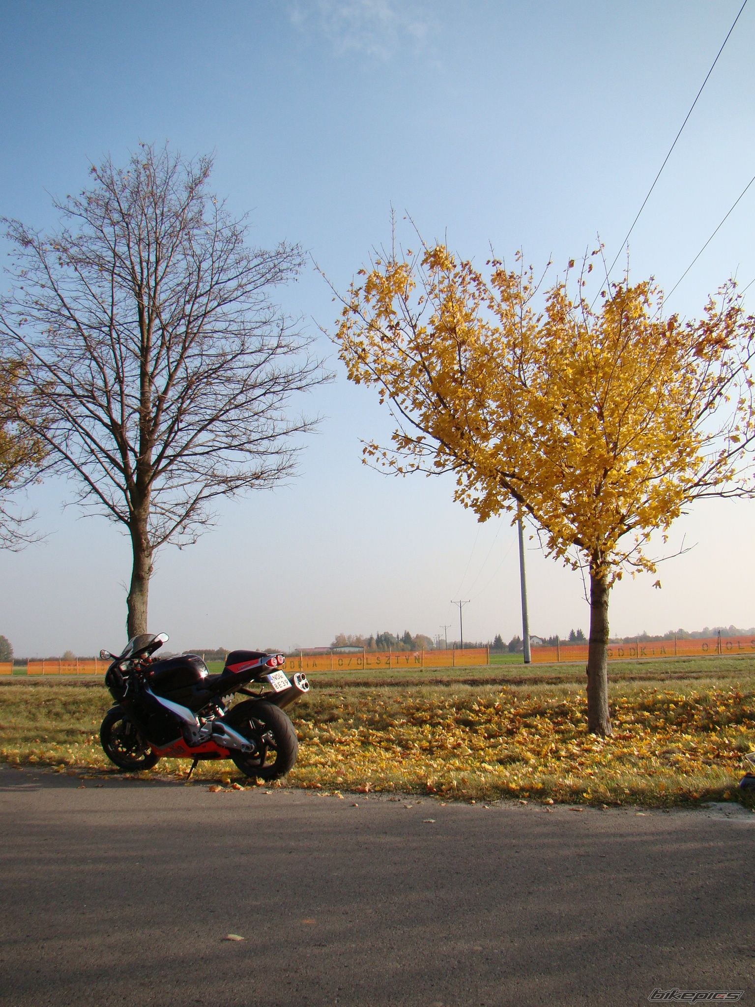 Photo 2295838