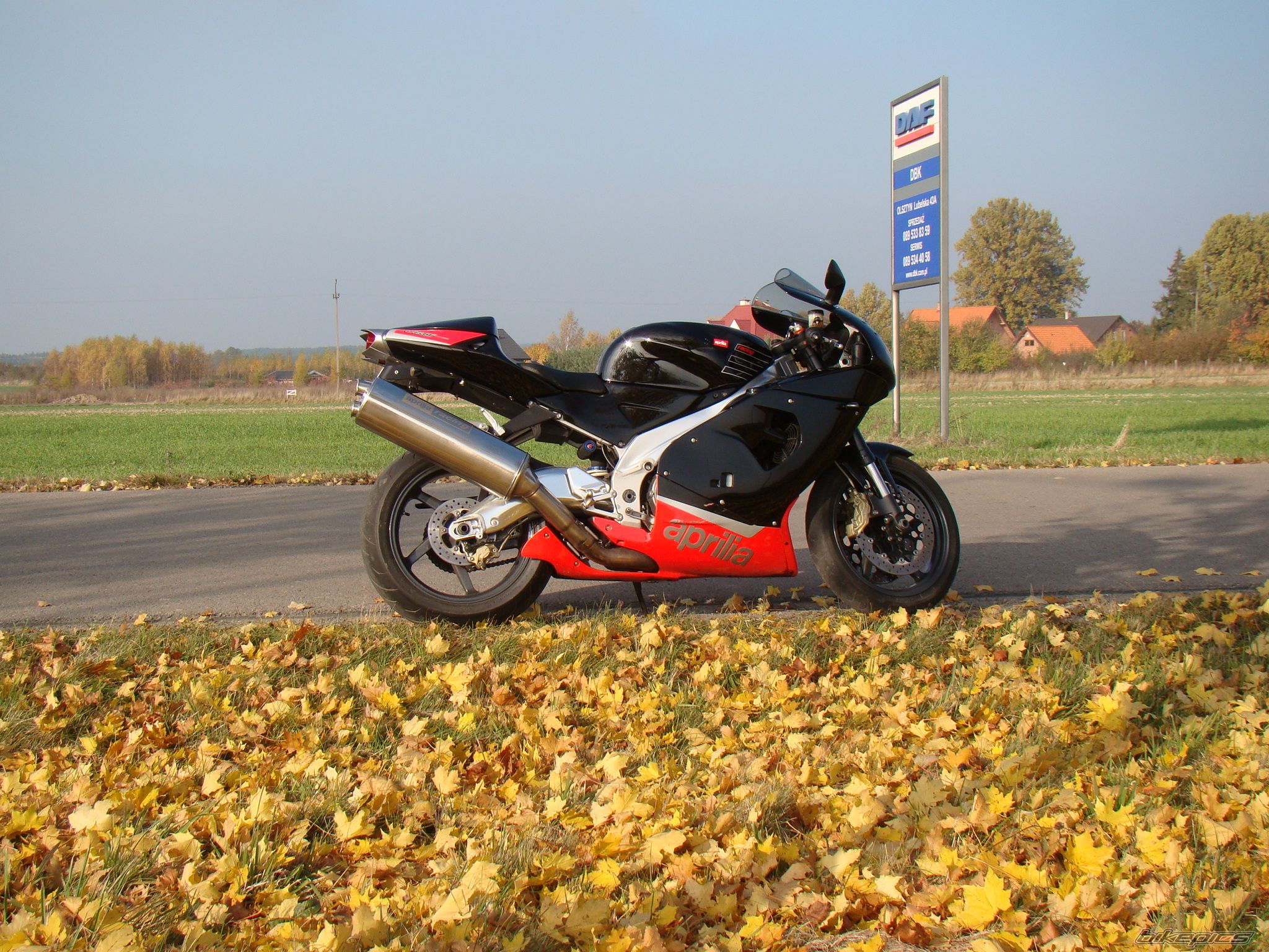 Photo 2295841