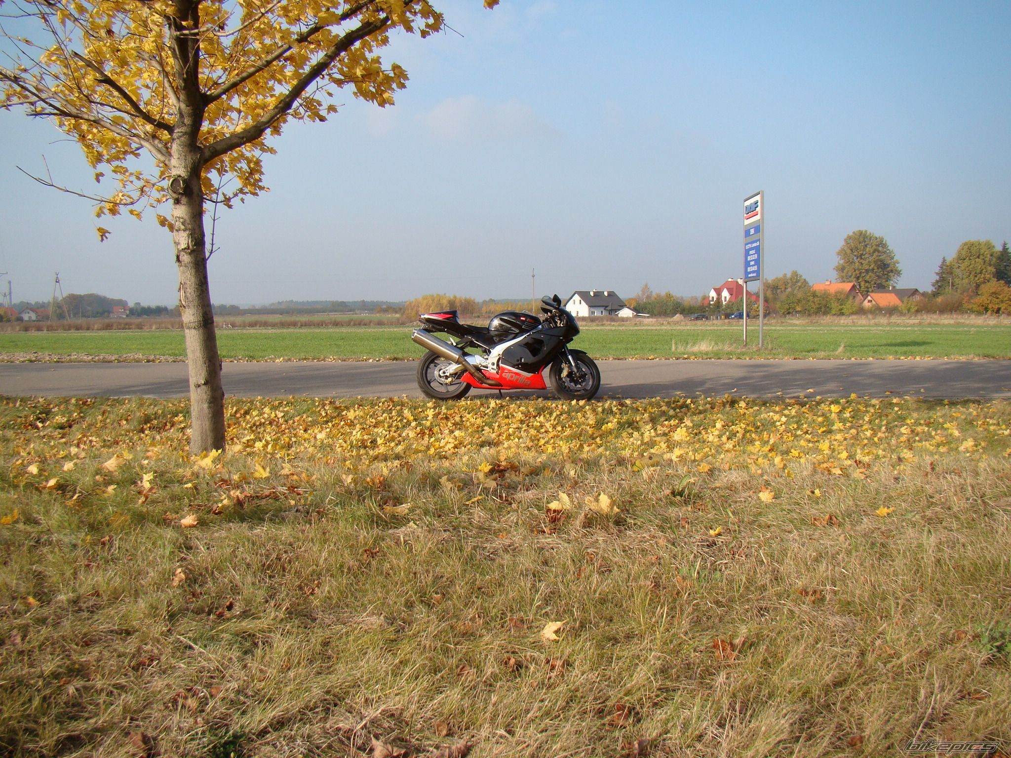 Photo 2295843
