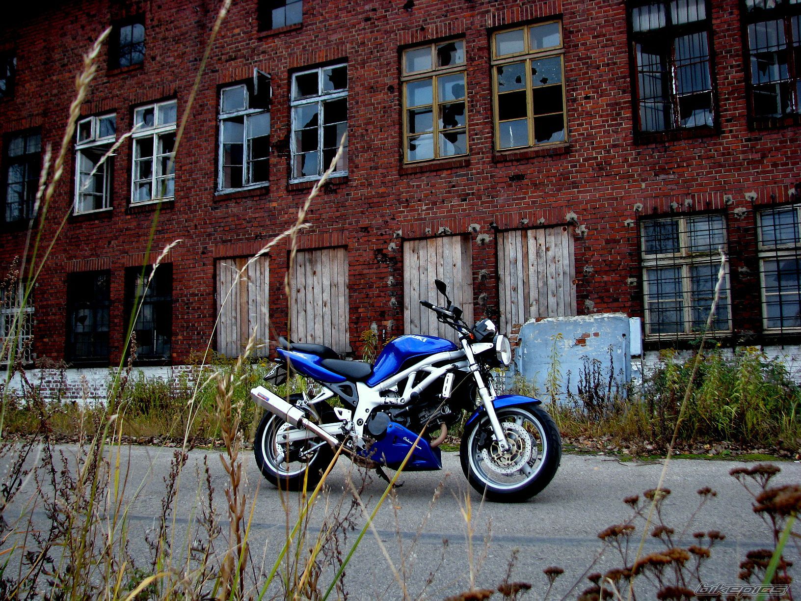Photo 2295847