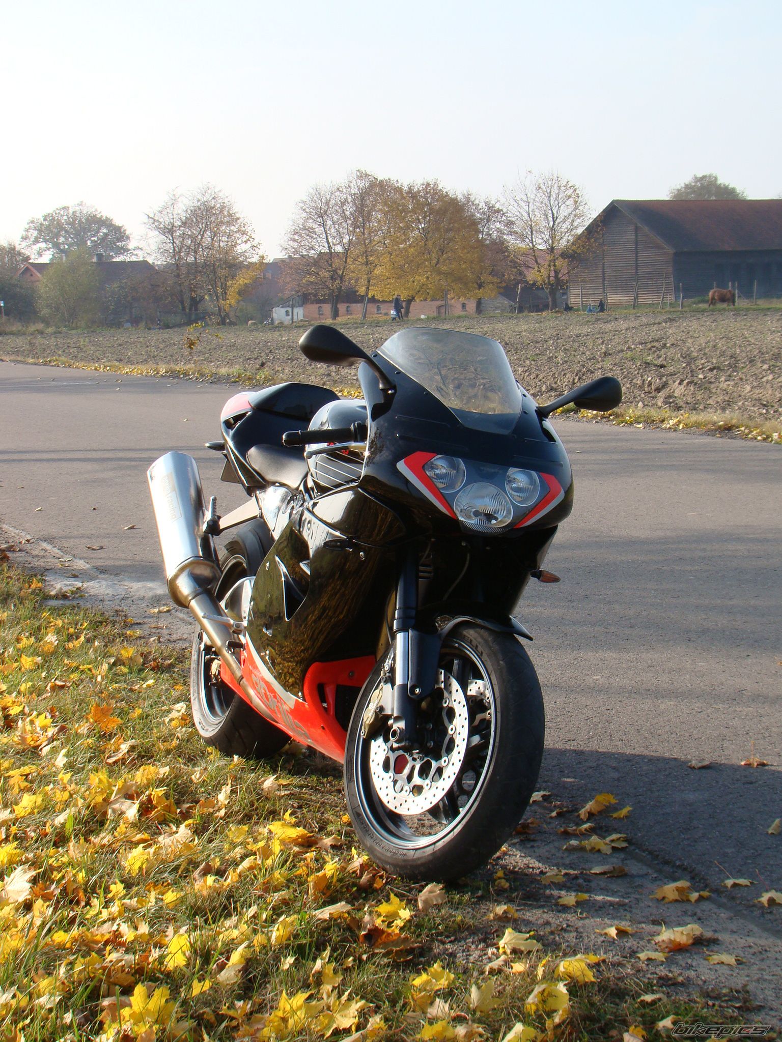 Photo 2295852