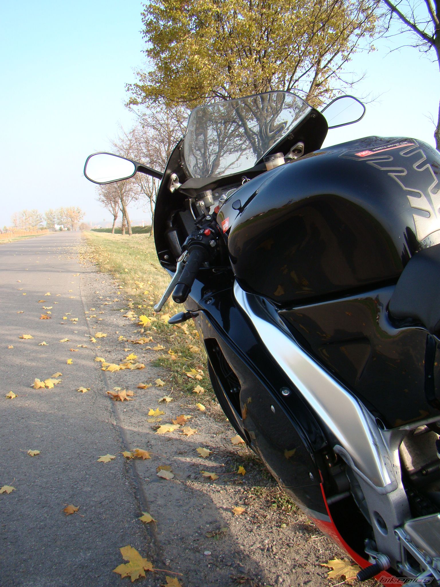 Photo 2295859