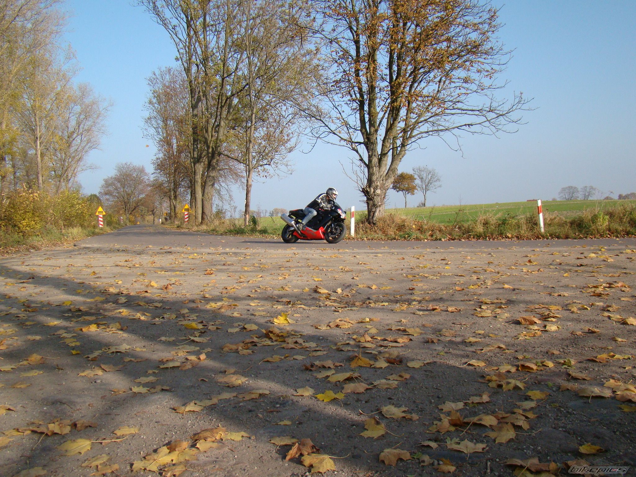 Photo 2295862