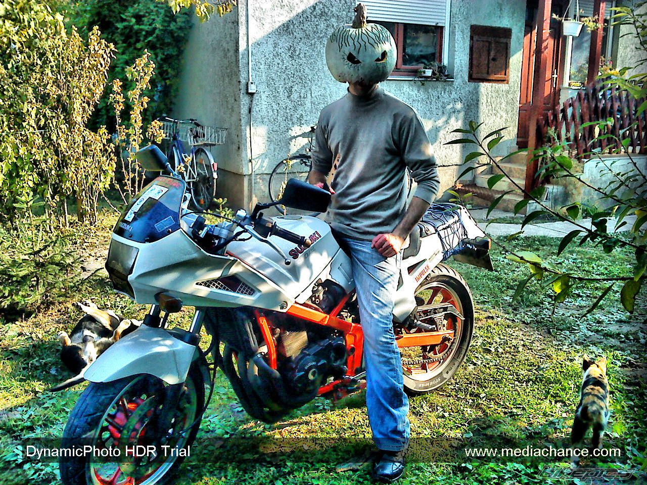 Photo 2295892