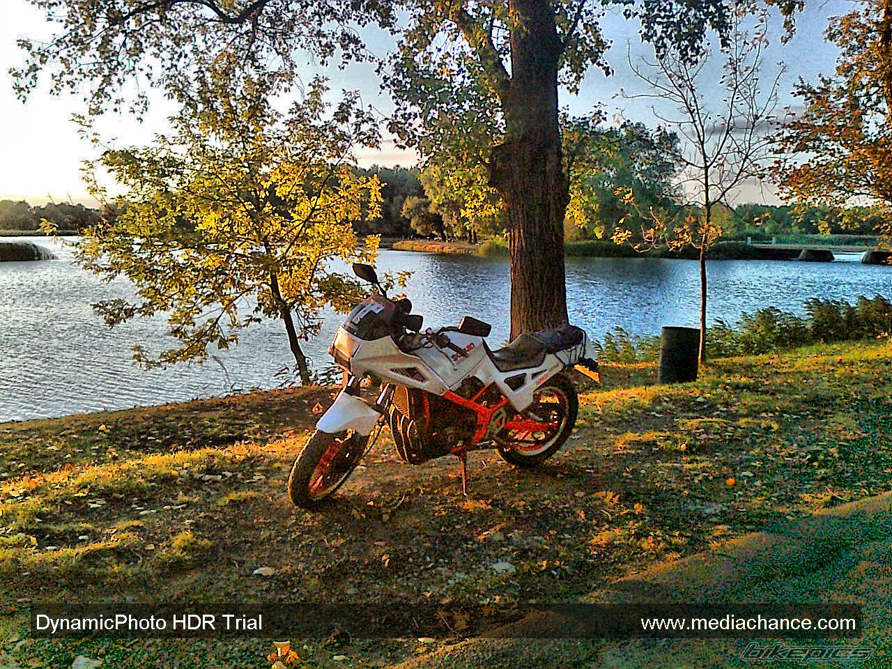 Photo 2295902