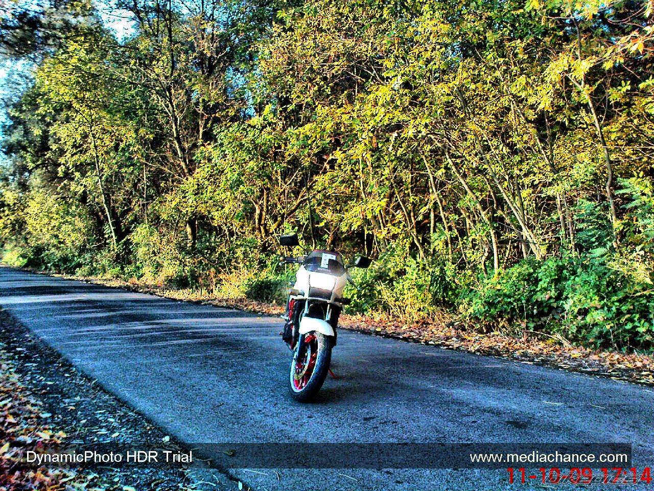 Photo 2295904