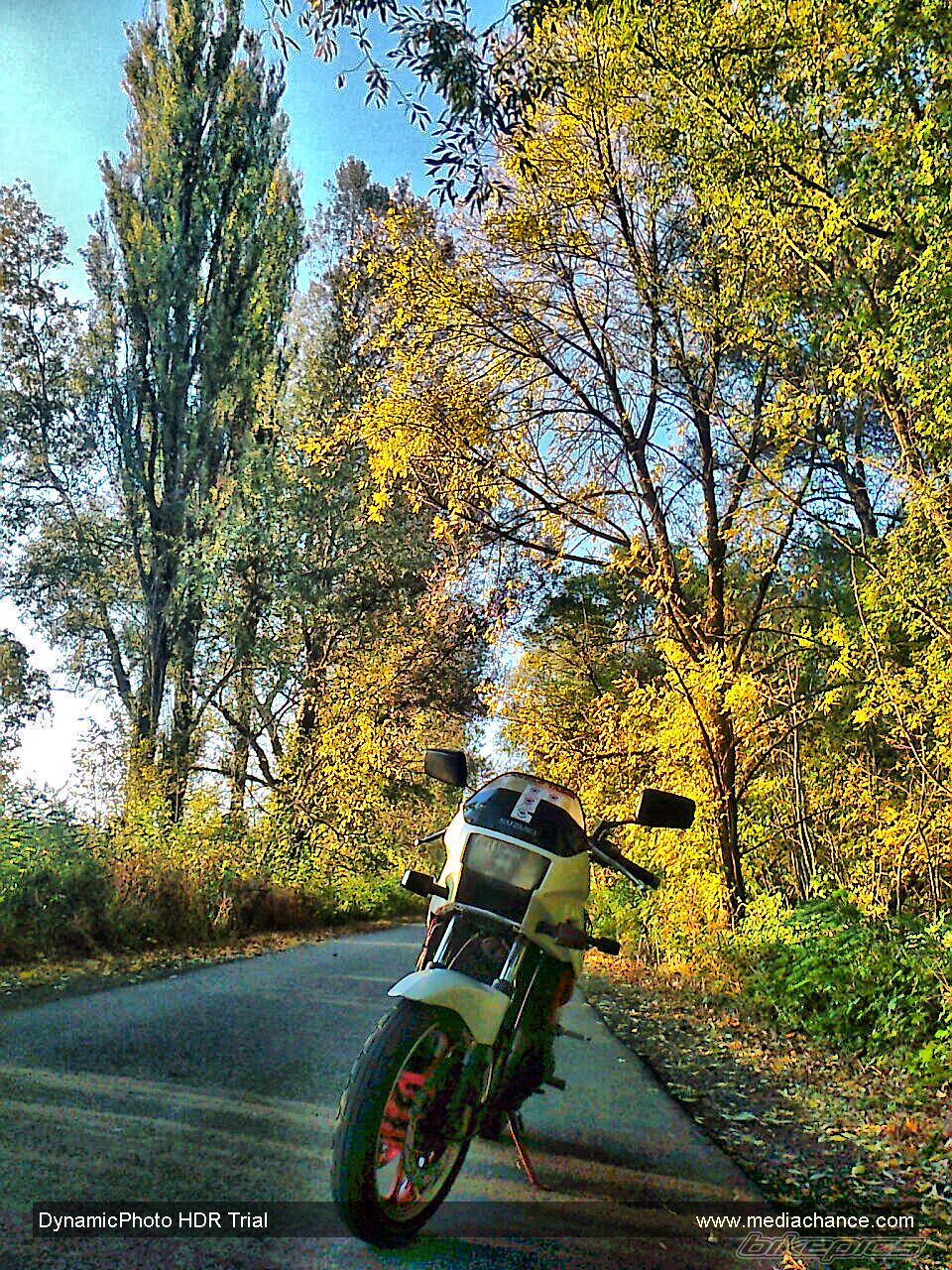 Photo 2295907