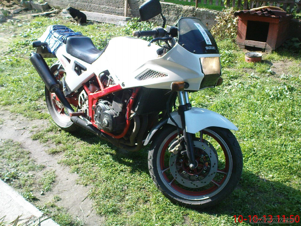 Photo 2295933