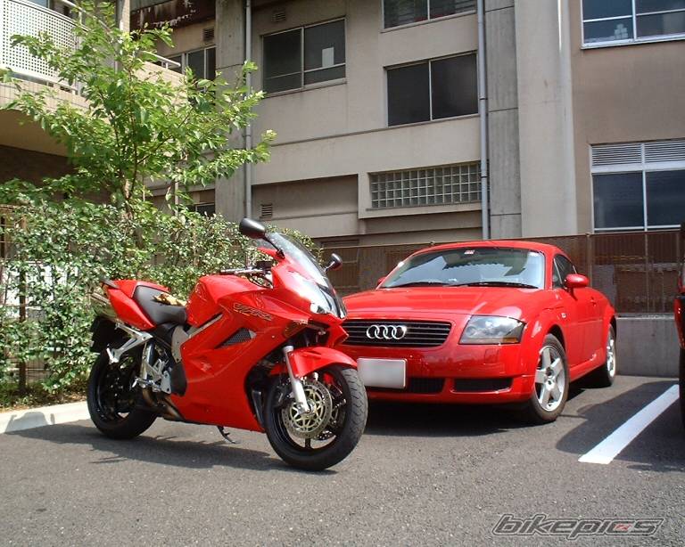 Photo 229599