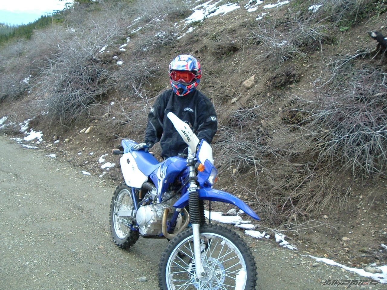 Photo 2296020