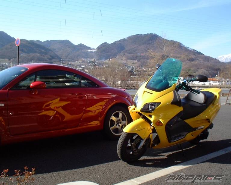 Photo 229605