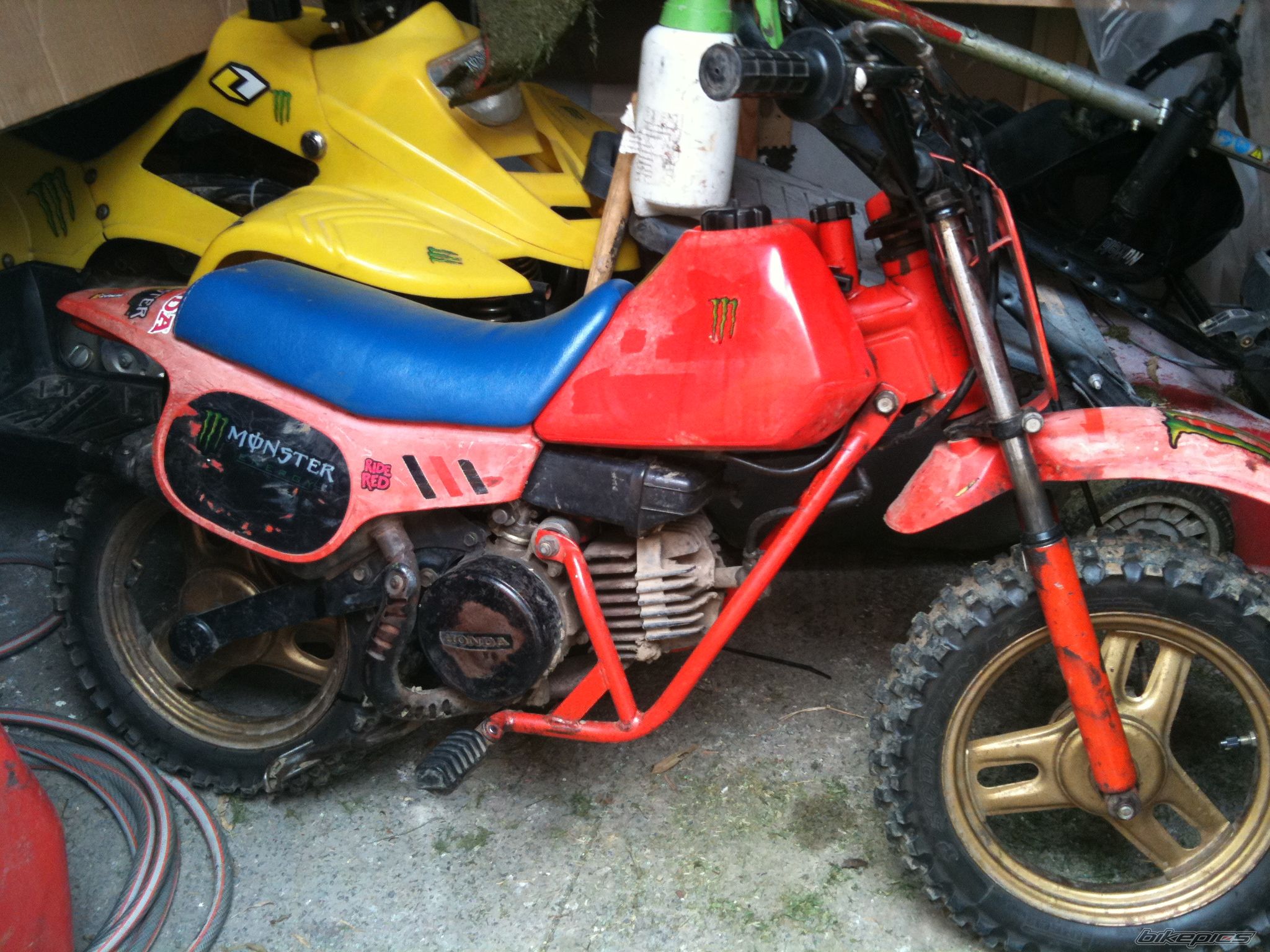 ZR 50