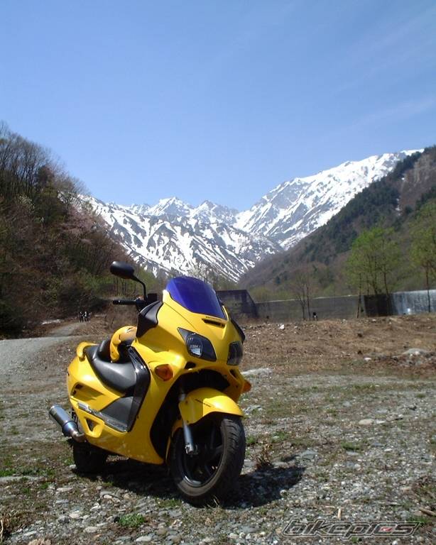 Photo 229610