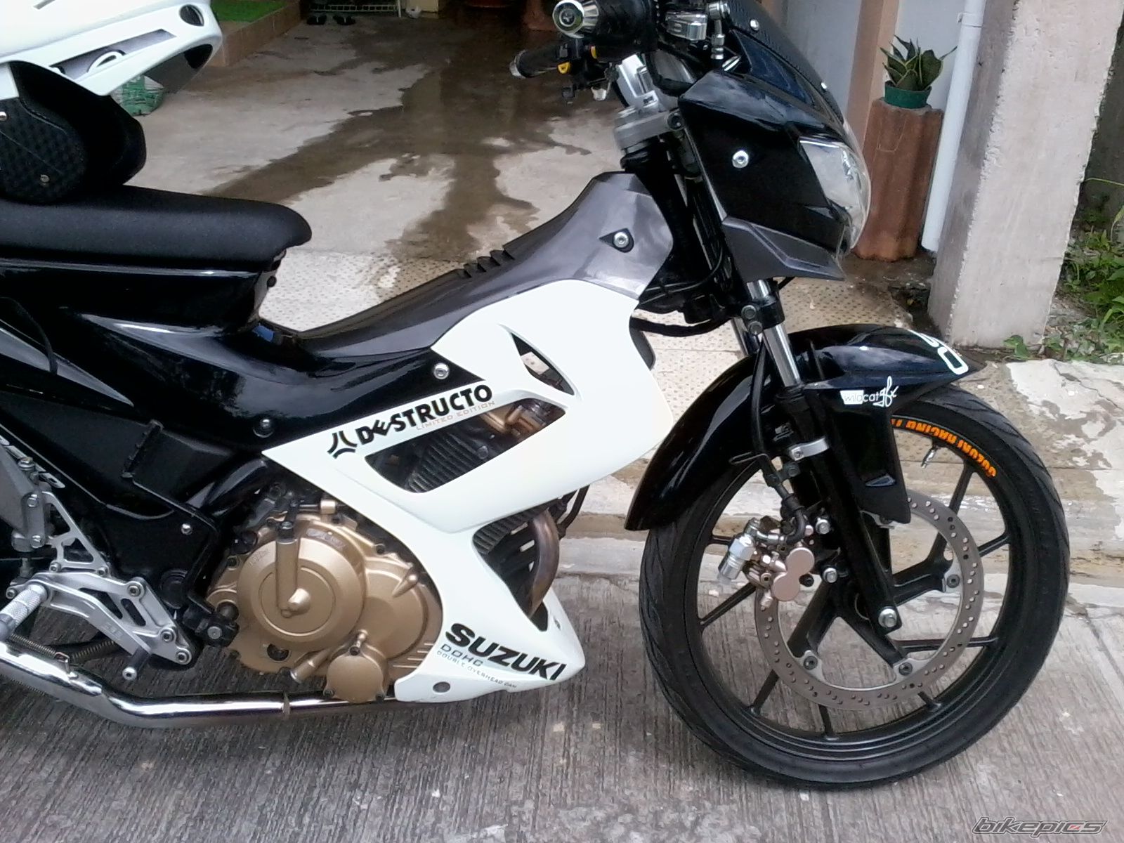 Photo 2296112