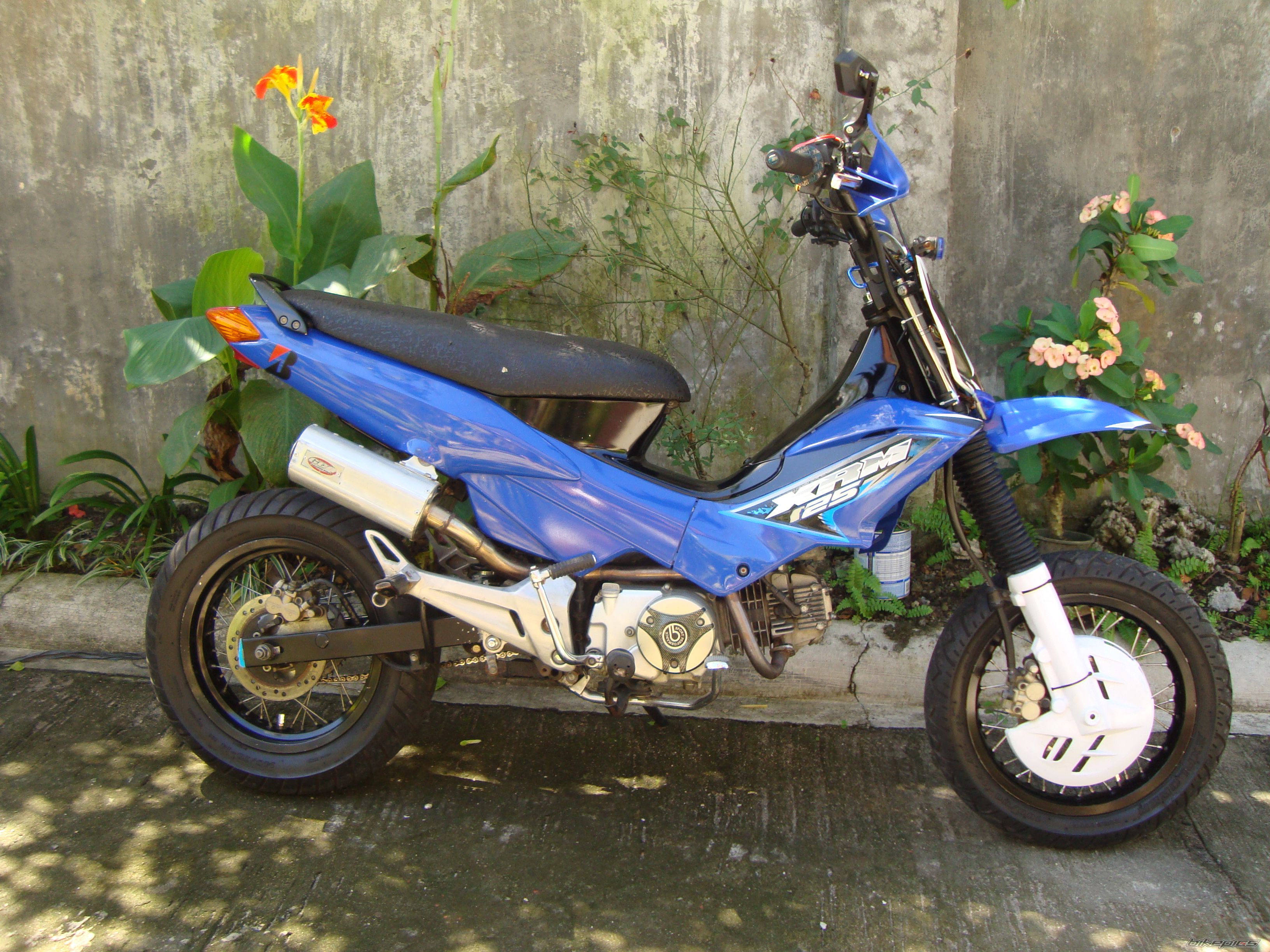Photo 2296120