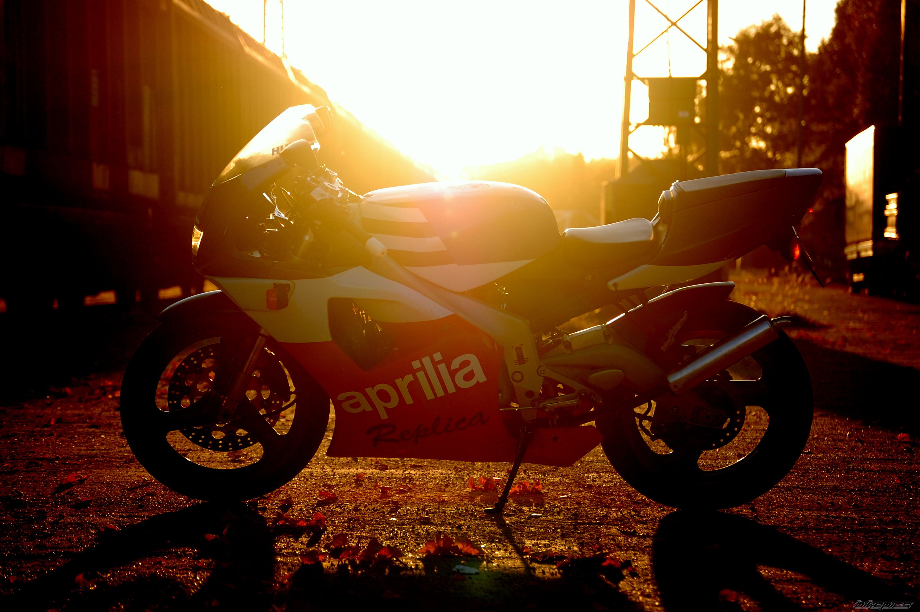 Photo 2296206