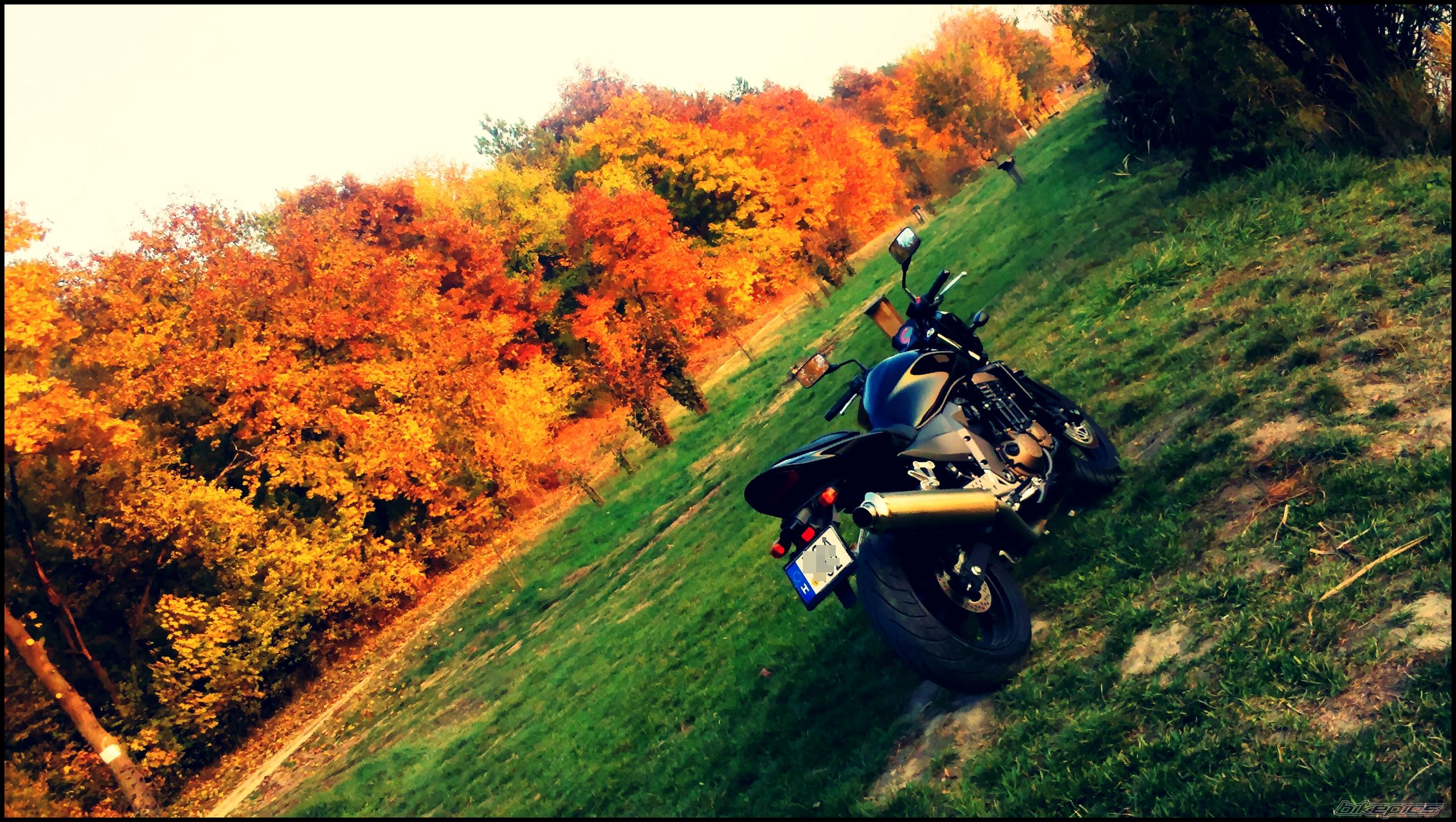 Photo 2296208