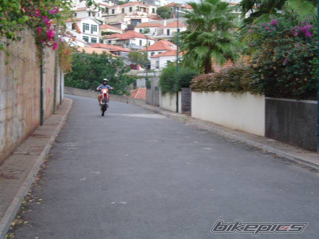 Photo 229621