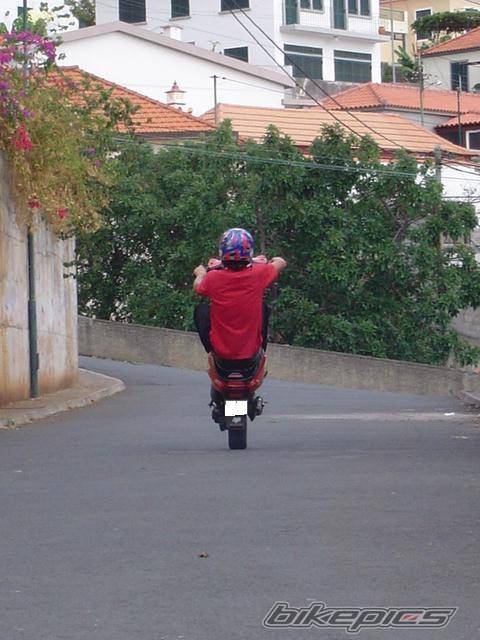 Photo 229622