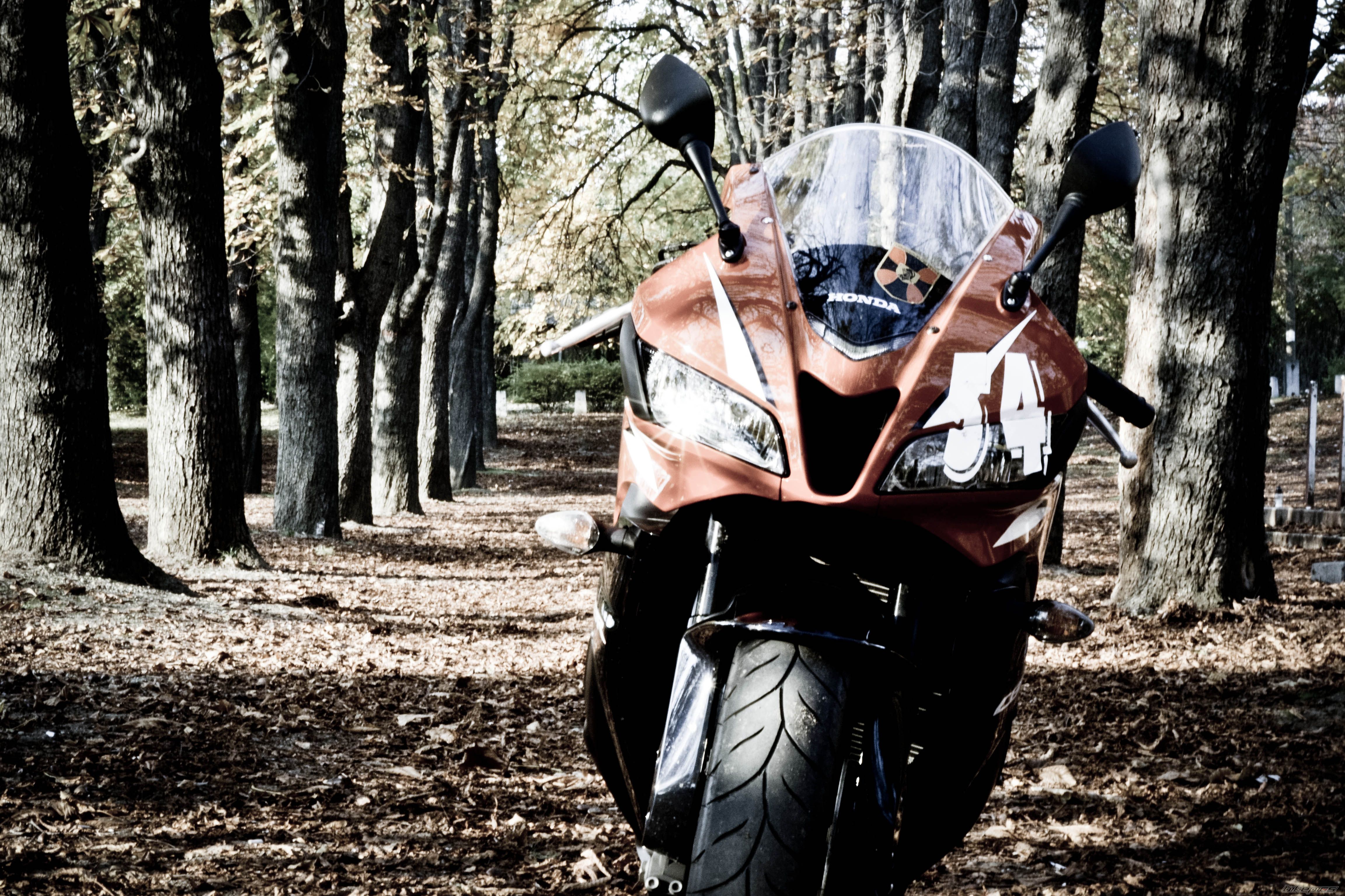 Bike Photo 2296250