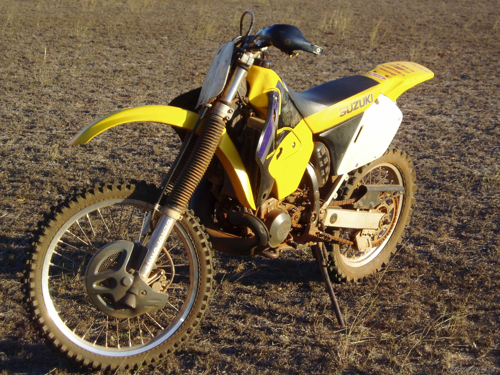 Photo 229629