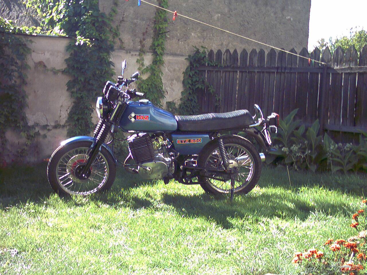 Photo 229634