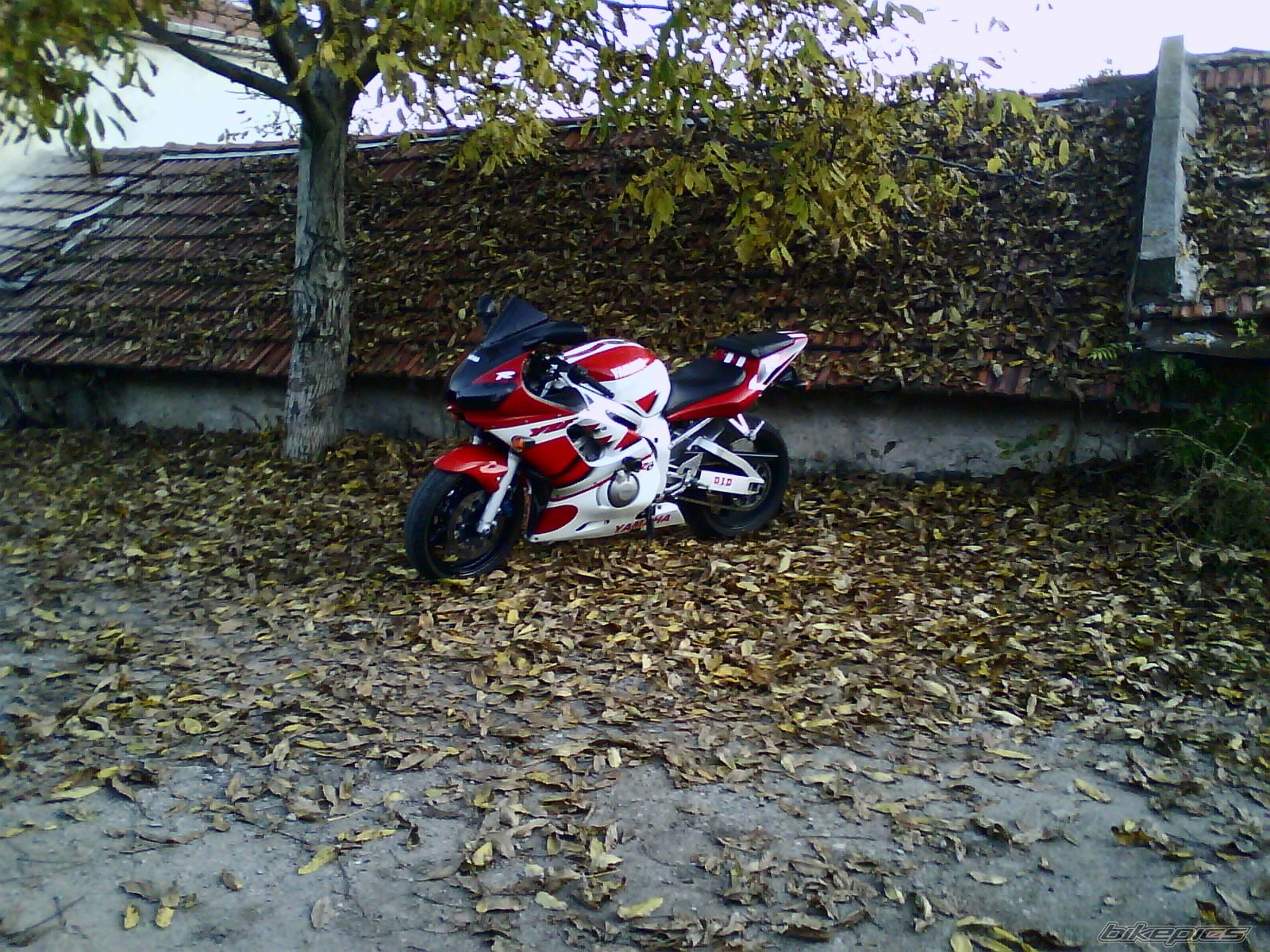 Bike Photo 2296344