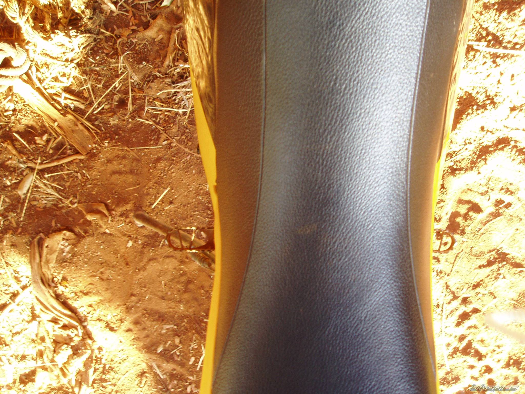 Photo 229636