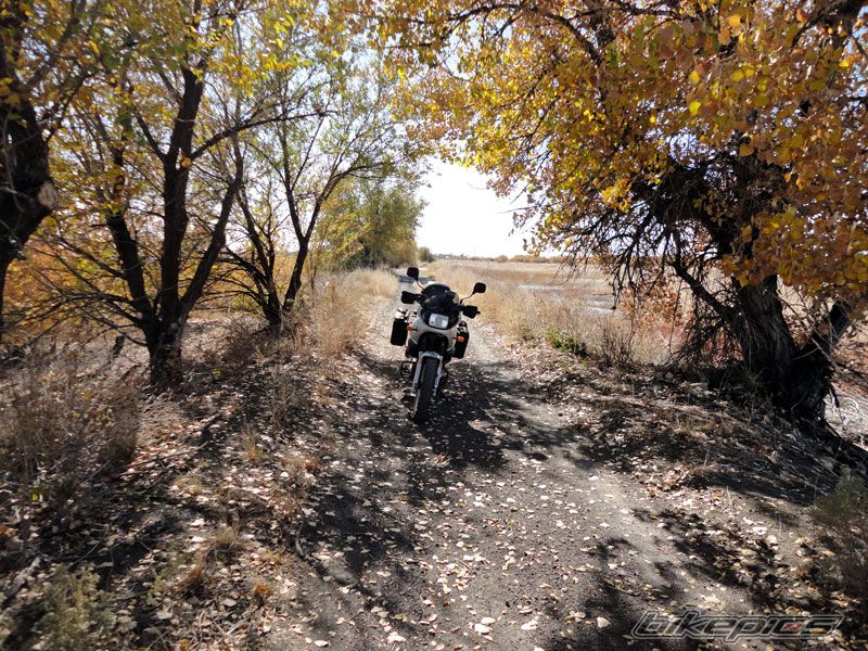 Bike Photo 2296409