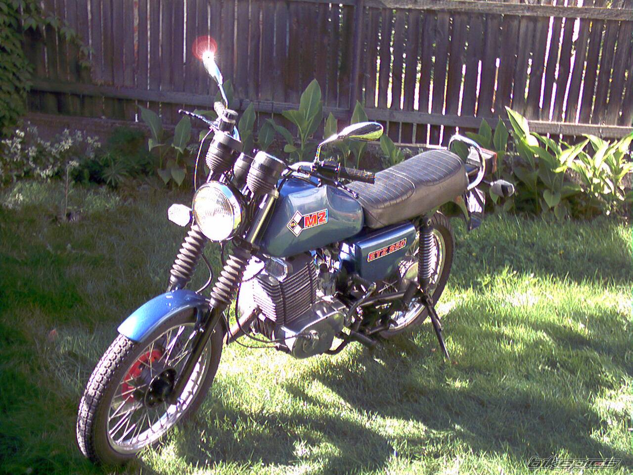 Photo 229642