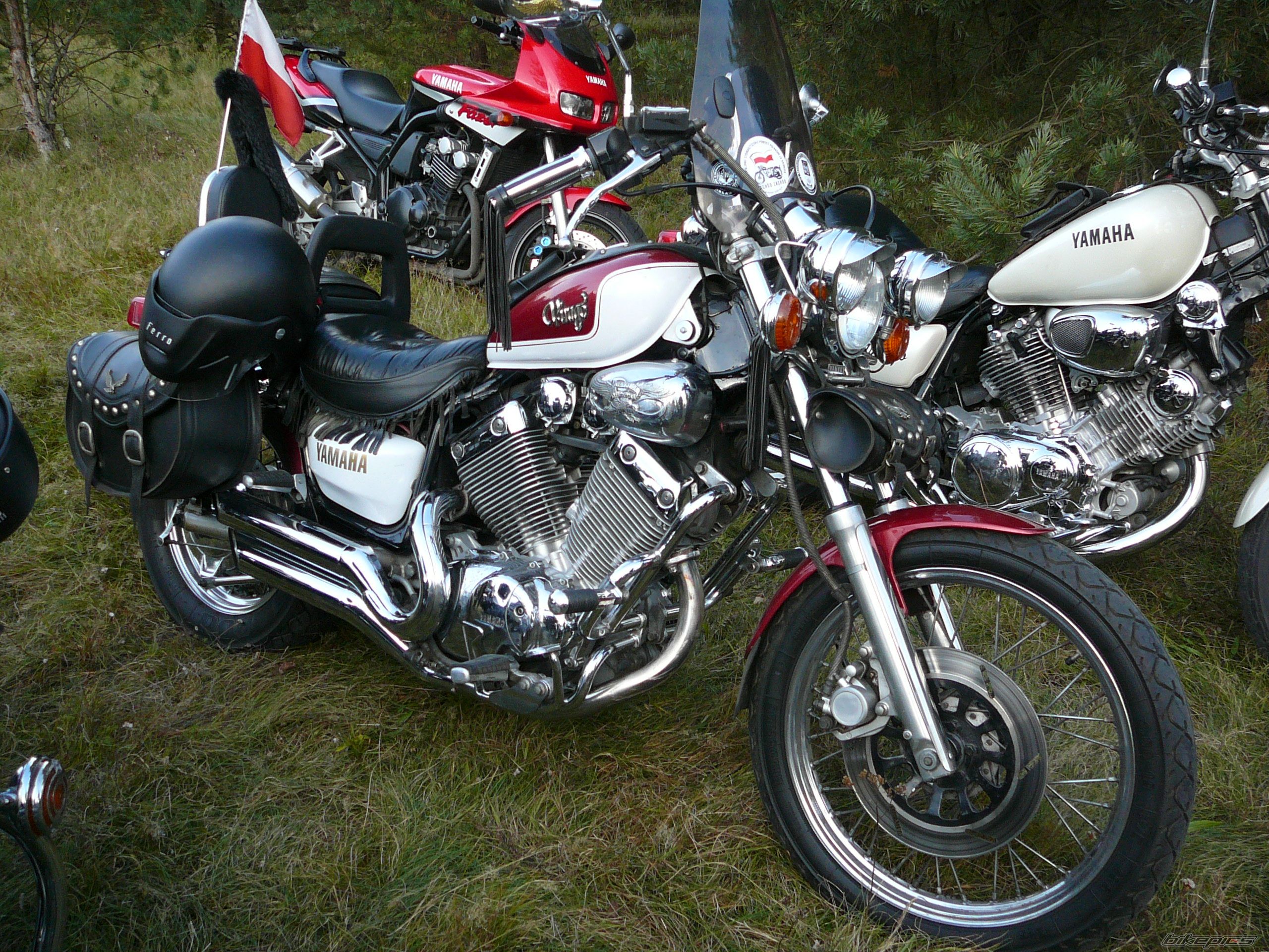 Photo 2296429