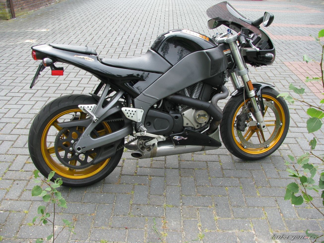 Photo 2296447