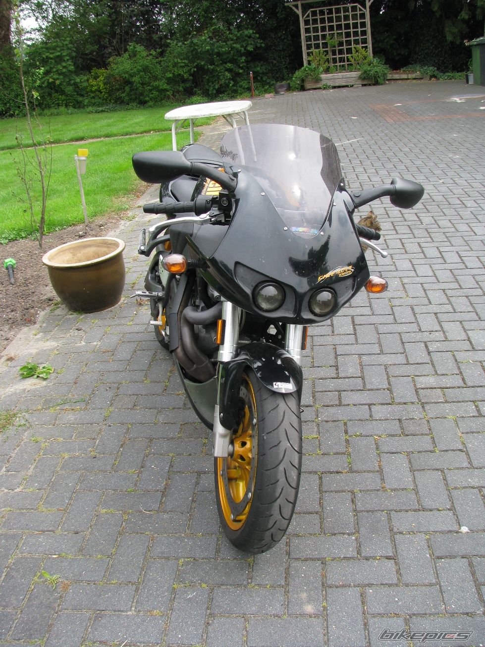 Photo 2296448