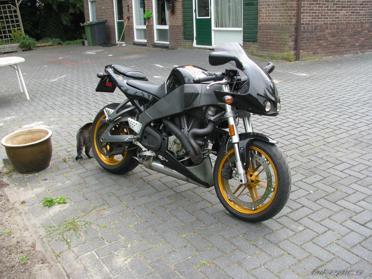 Photo 2296451