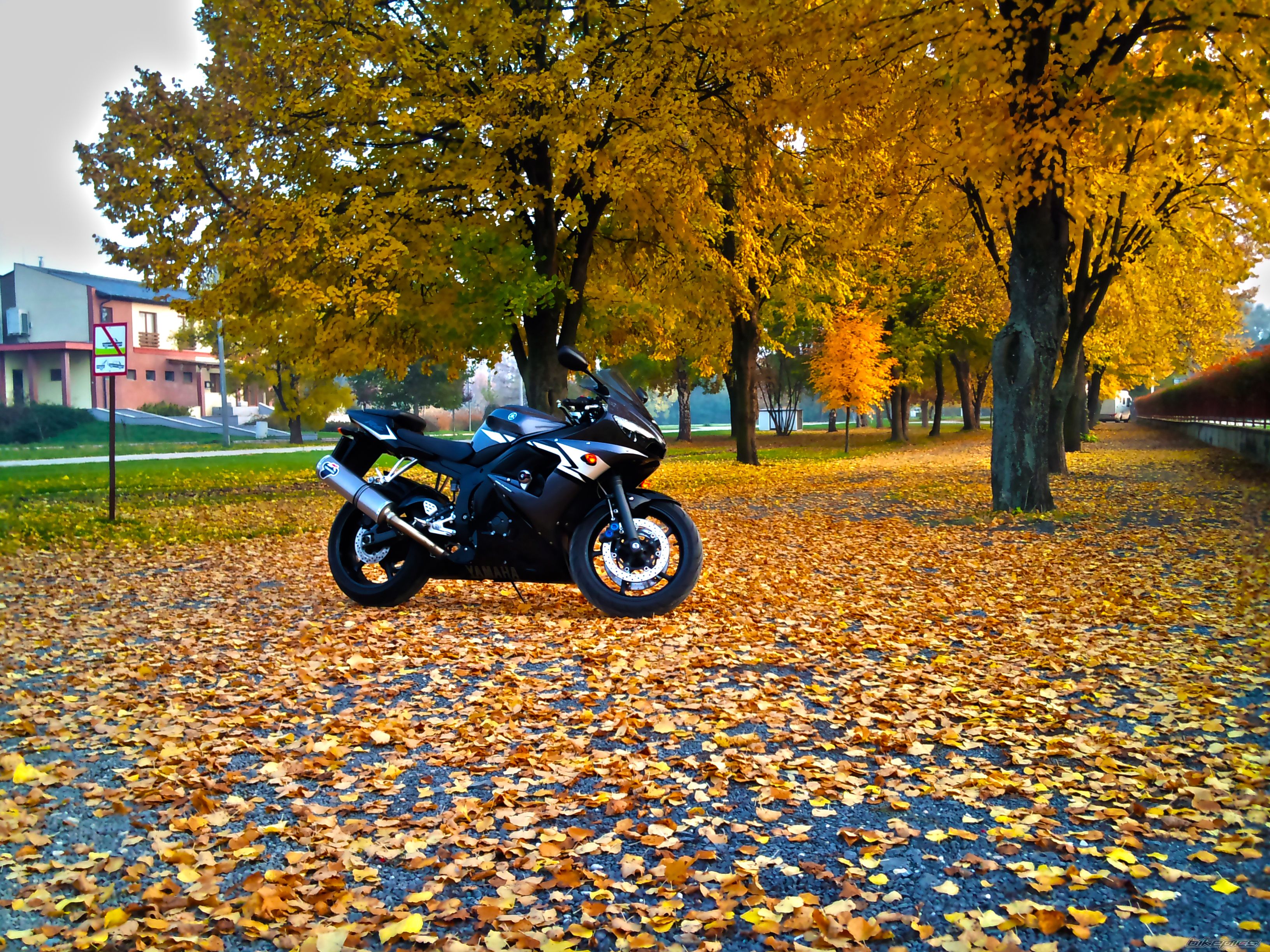 Photo 2296453