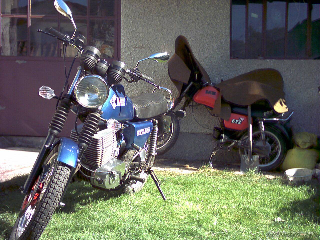 Photo 229651