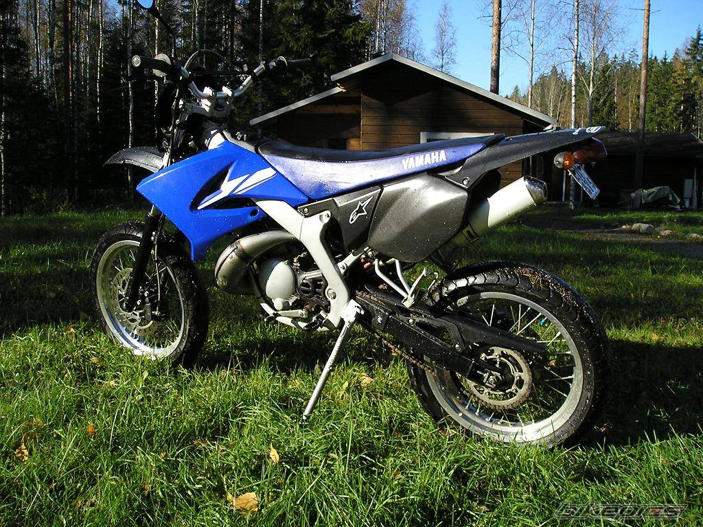 Photo 229653