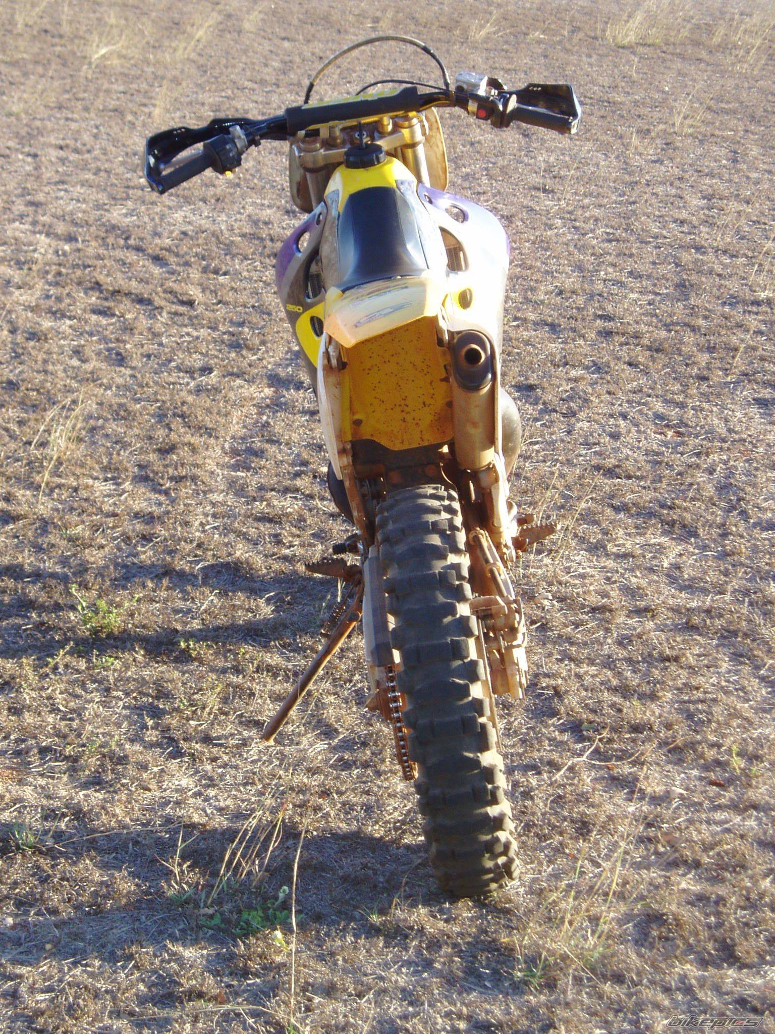 Photo 229659