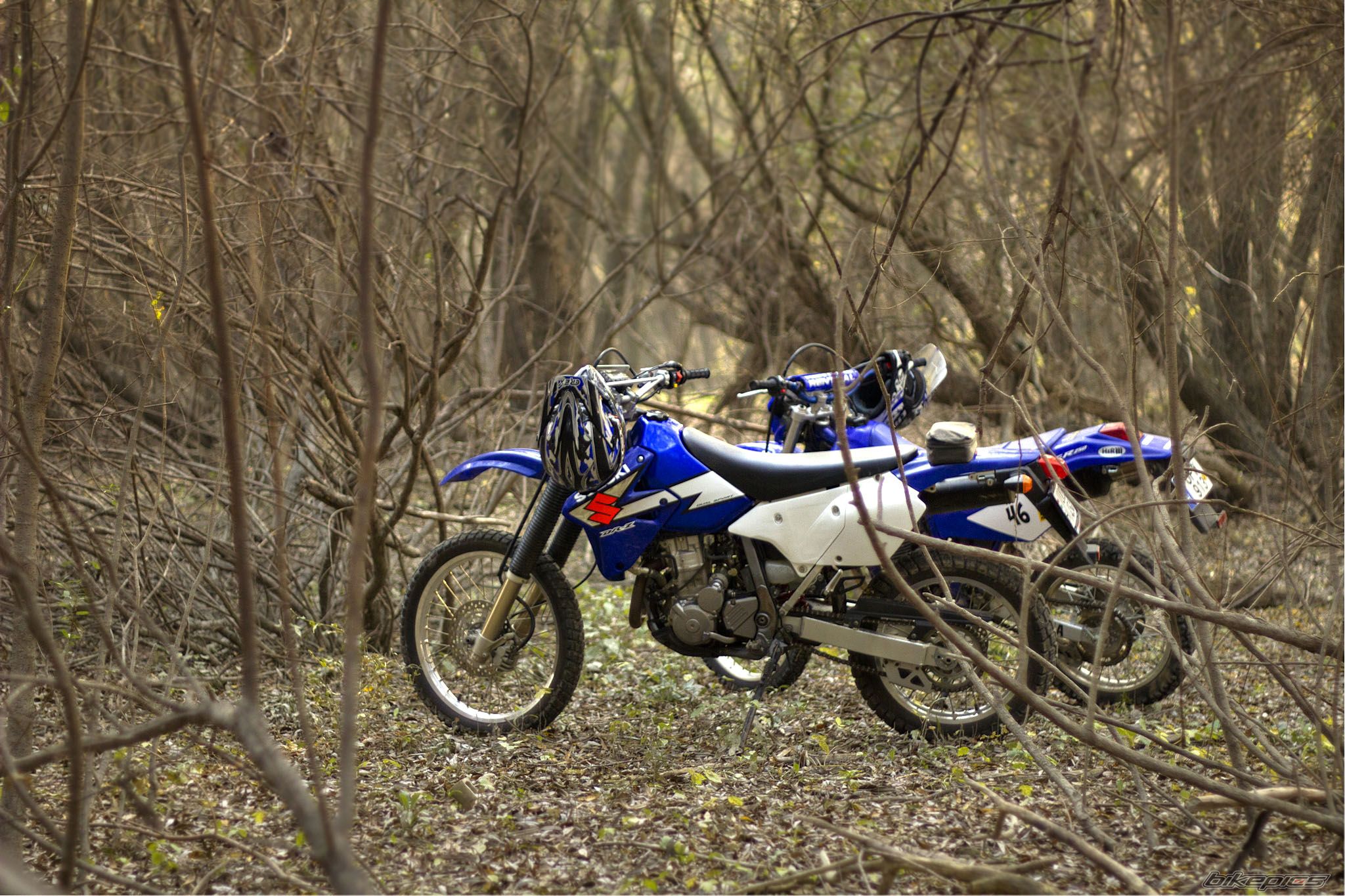 Photo 2296661