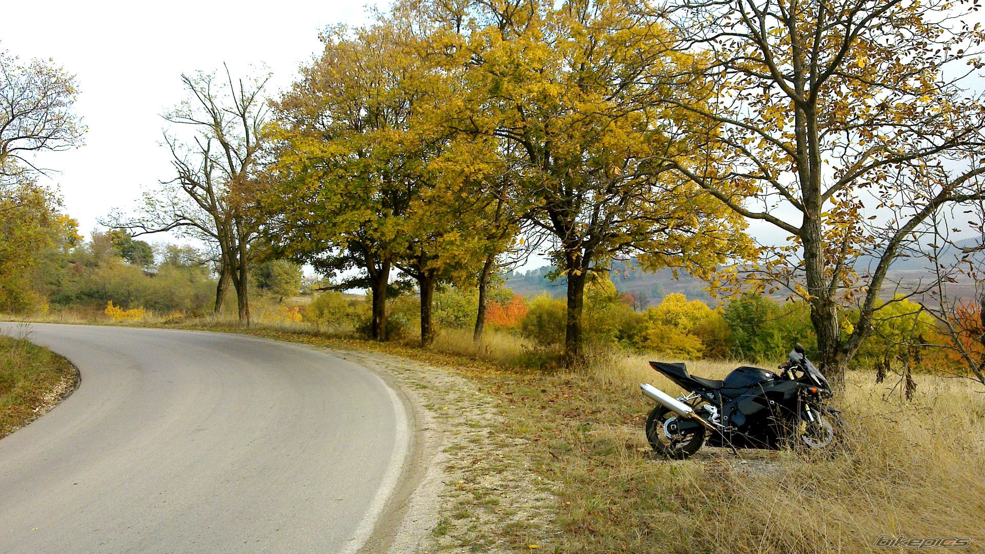Bike Photo 2296675