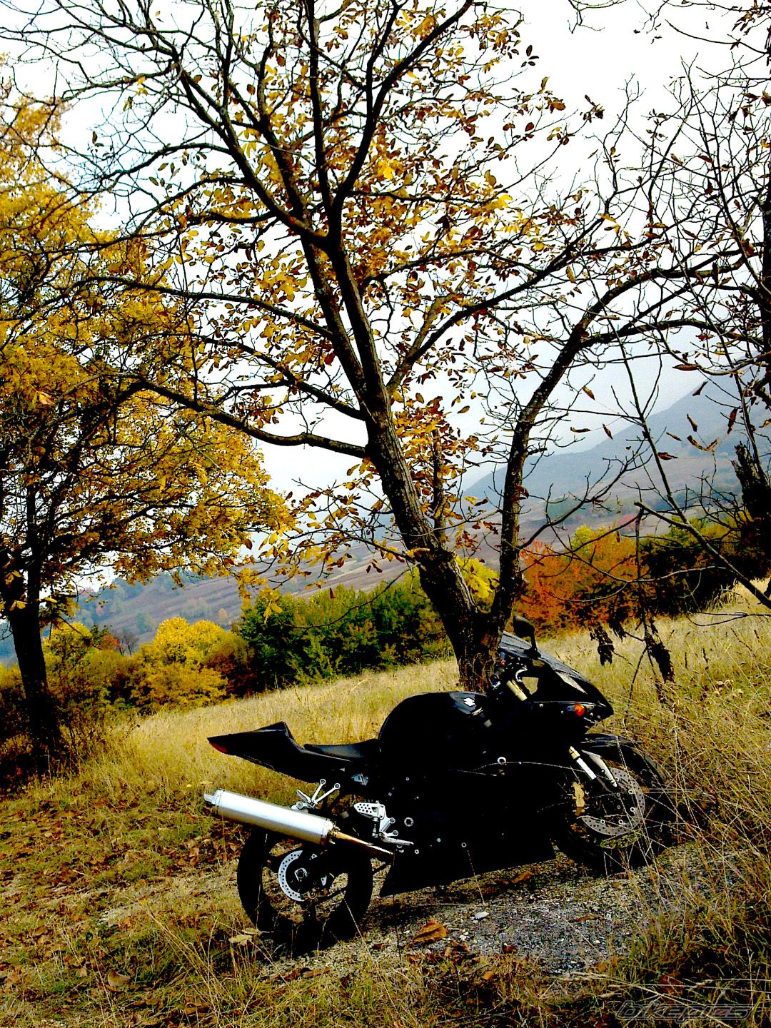 Bike Photo 2296676