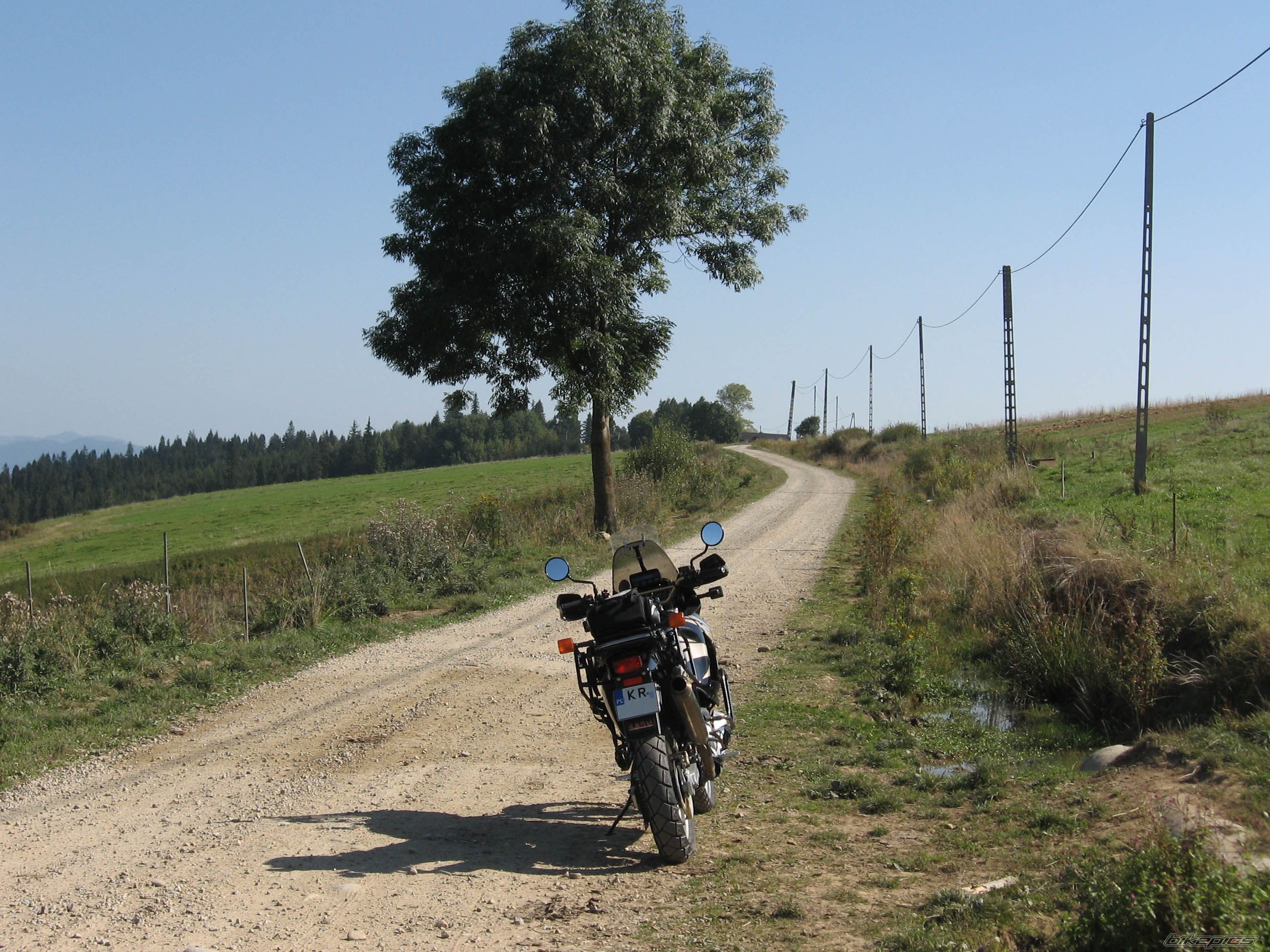 Photo 2296689