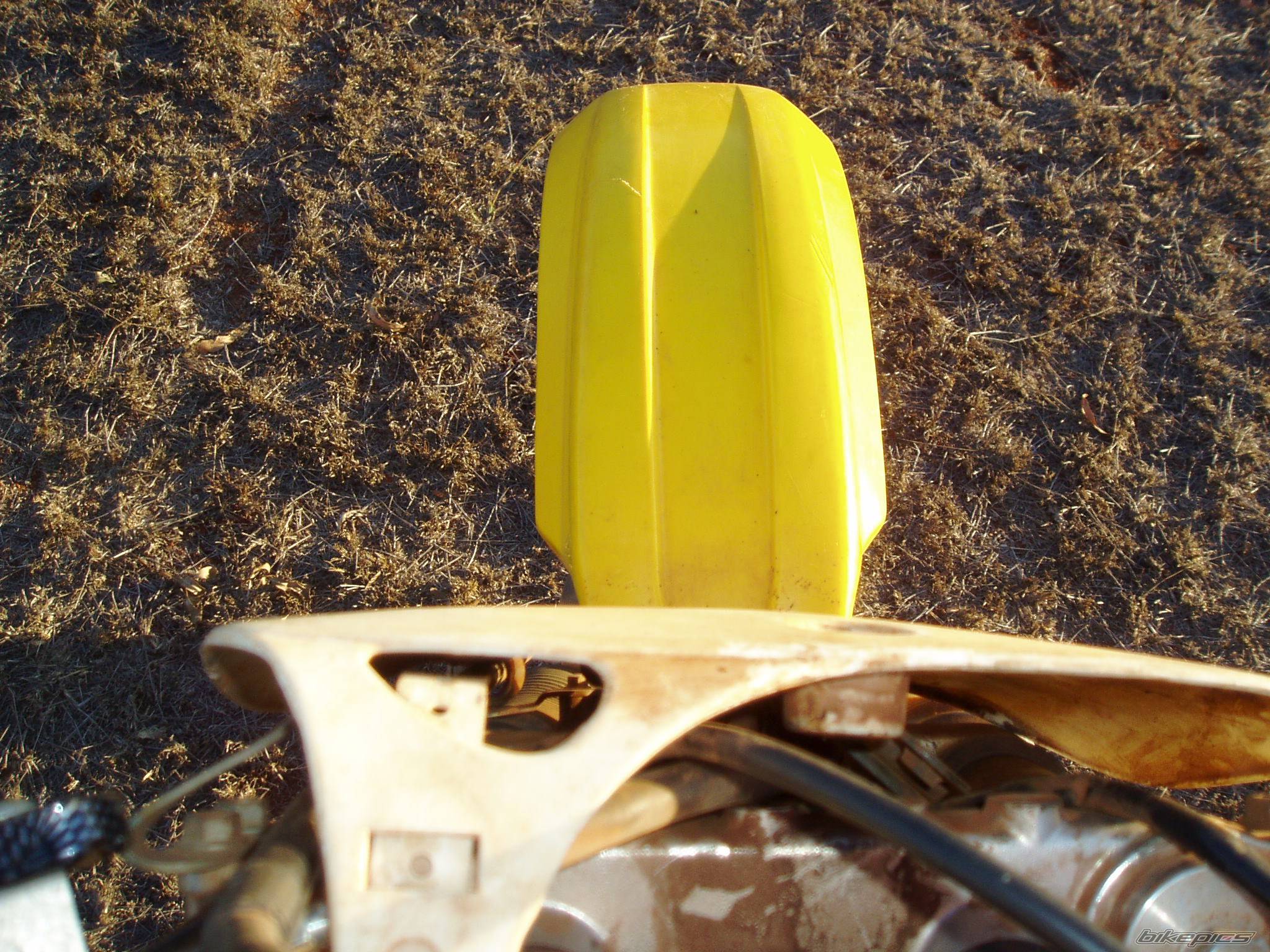 Photo 229671