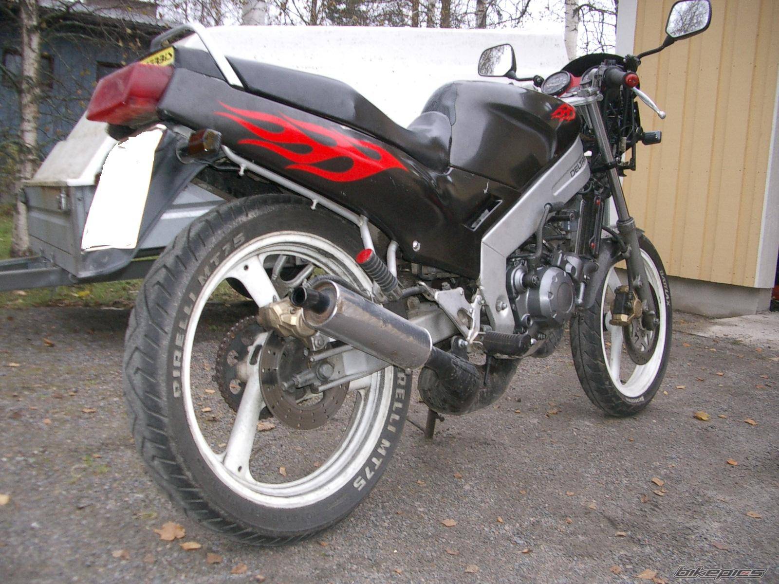 Photo 229673