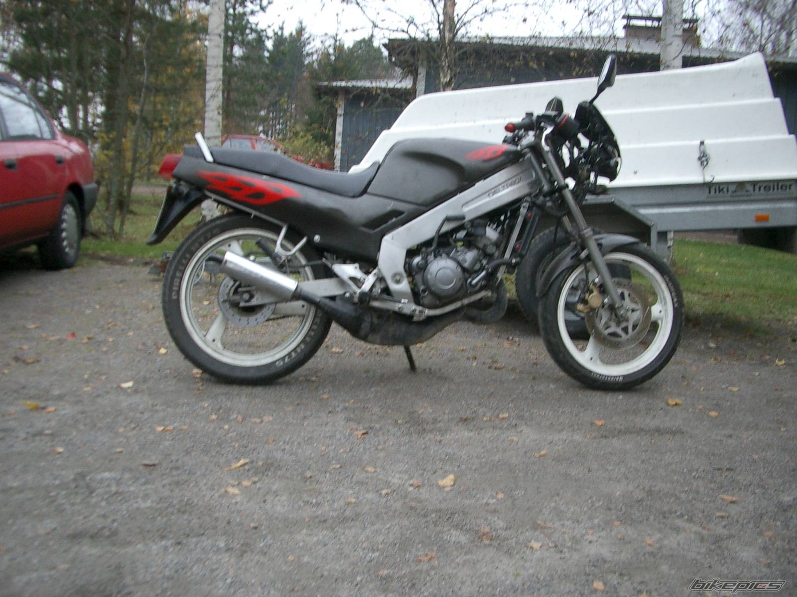 Photo 229674