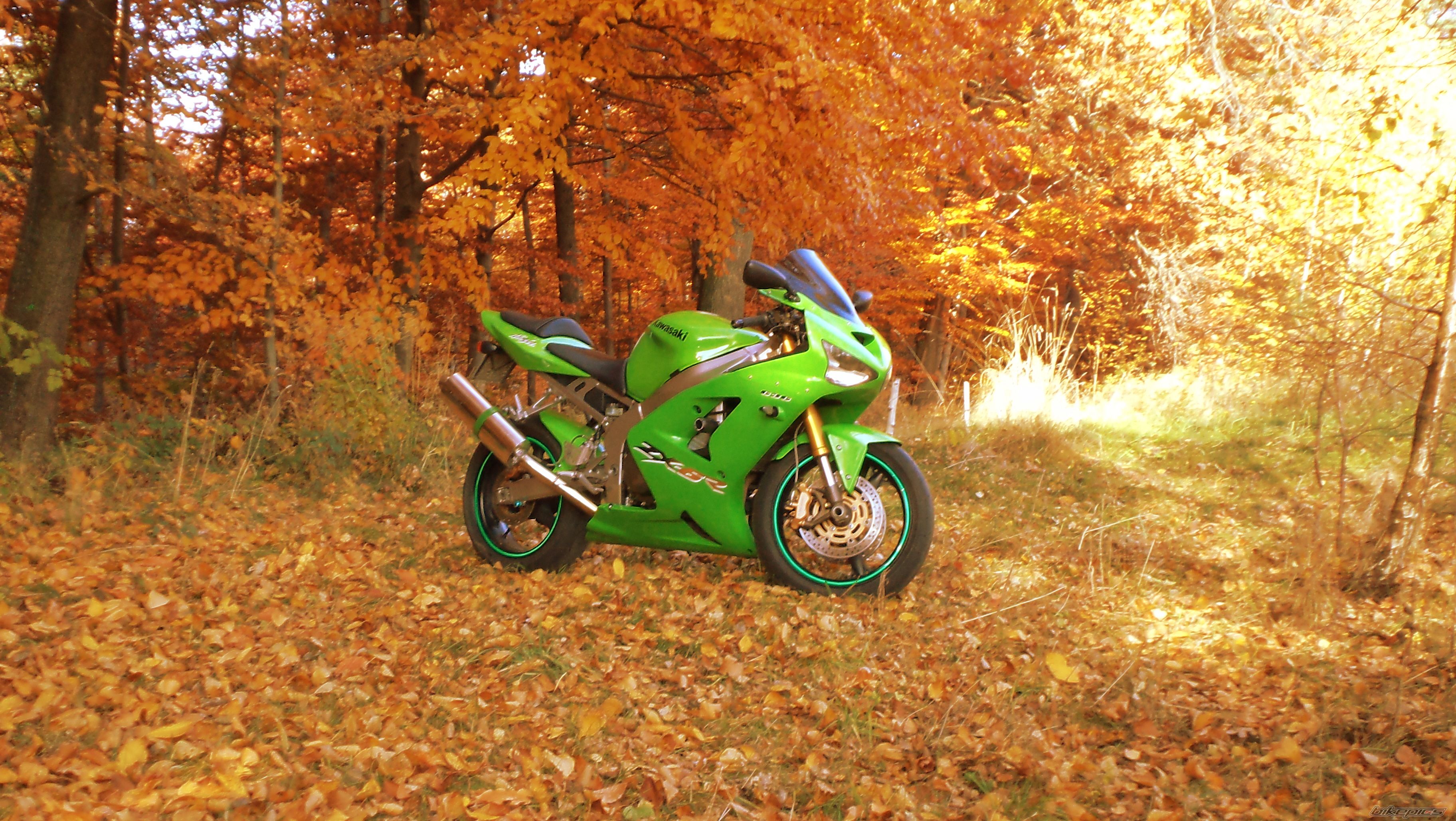 Bike Photo 2296741