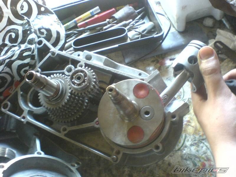 Photo 2296742